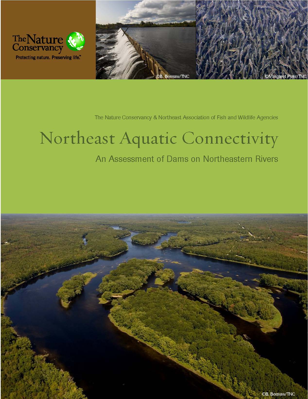 Northeast Aquatic Connectivity